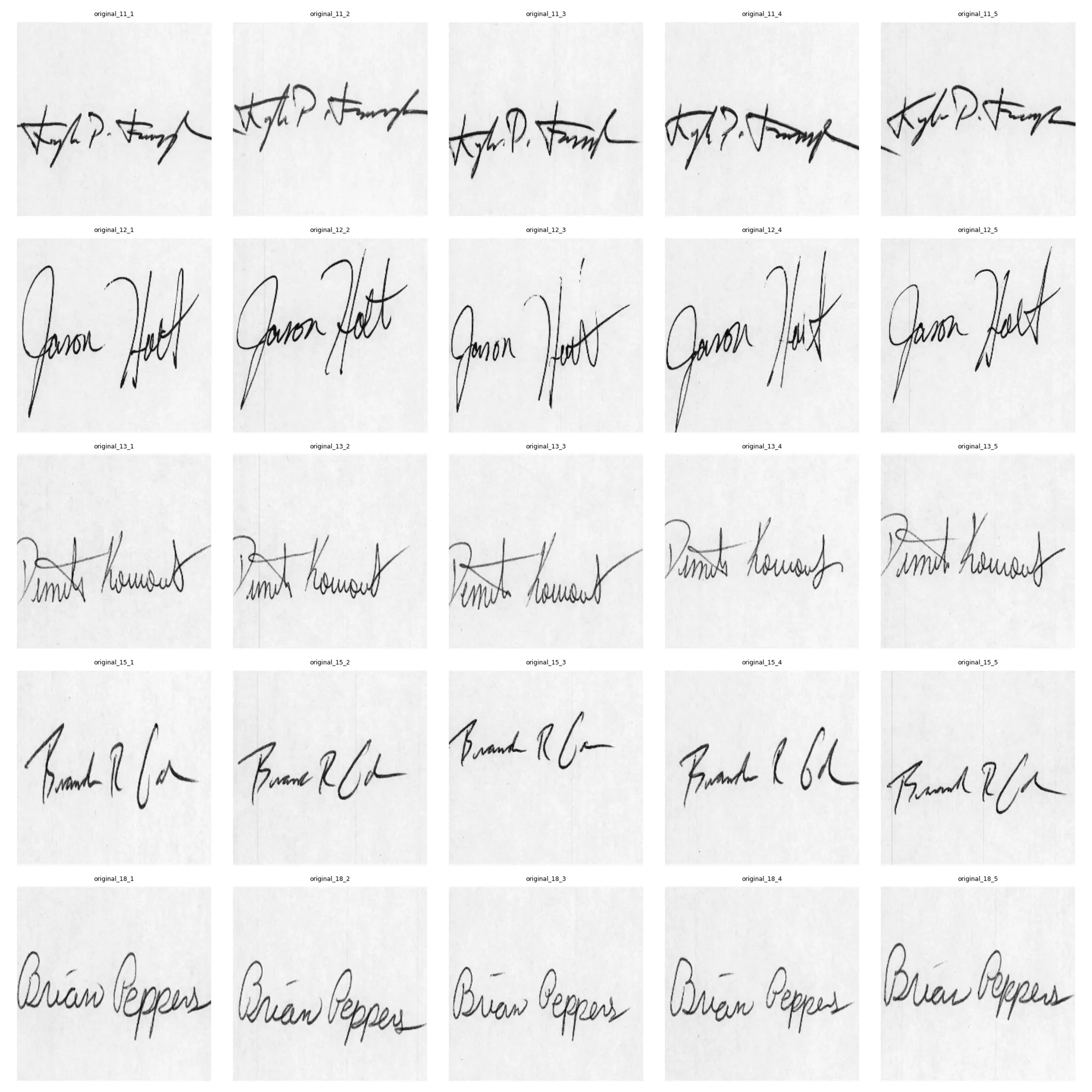 25 documents across five classes used in the evaluation index.