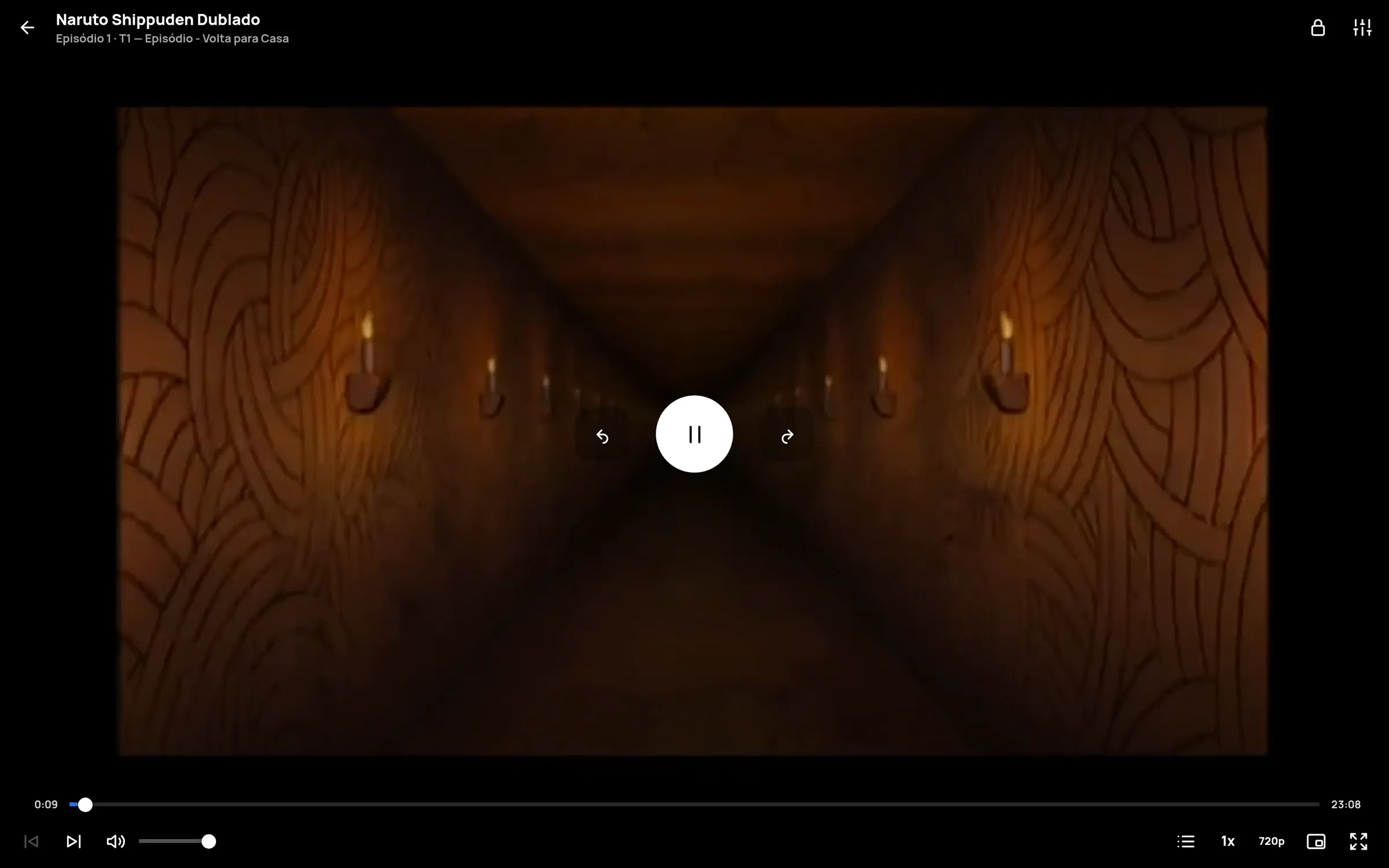 Video playback with controls and progress